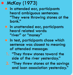 Understanding Attention: Mechanisms and Impacts In Psychology - Quiz
