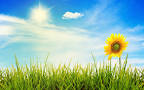 Weather The Student Will Able To Identify The Different Kinds Of Weather. How Weather Affects Our Daily Life. - Quiz