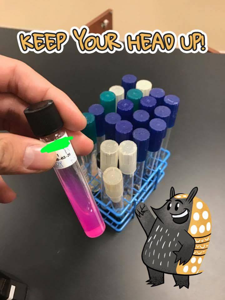 Advanced Laboratory Techniques In Biology, Chemistry, And Physics - Quiz