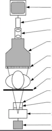 Understanding Fluoroscopy: Techniques, Applications, And Safety - Quiz