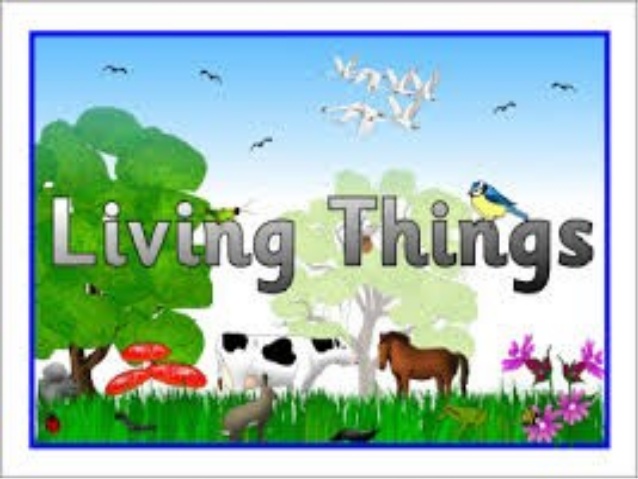Exploring The Characteristics Of Living And Non-living Things Quiz - Quiz