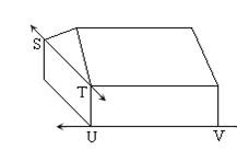 Geometry Basics: Lines, Angles, And Quadrilaterals Quiz - Quiz