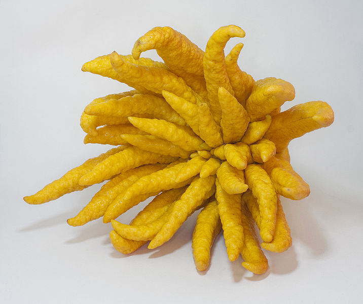 citrus fruit