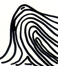 What is the pattern?