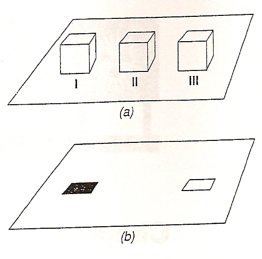 Chapter 7 Test:  Radioactivity - Quiz