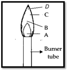 Year 7 Laboratory Test - Mr. Hung - Quiz