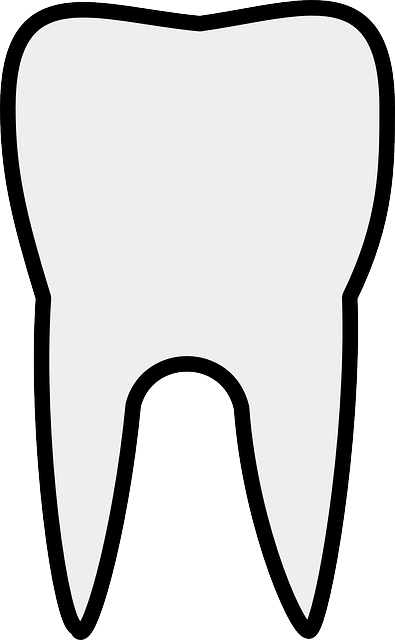 Testr�szek II. / Body Parts II. - Quiz
