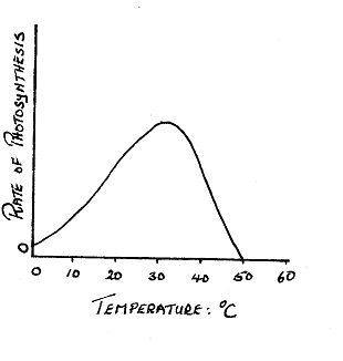 Bio Semester II Review (2 Of 3) - Quiz