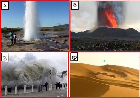   - Quiz