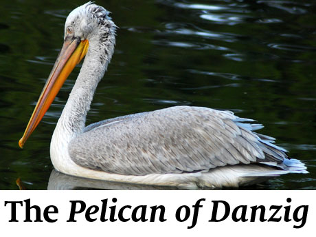 The Pelican of Danzig