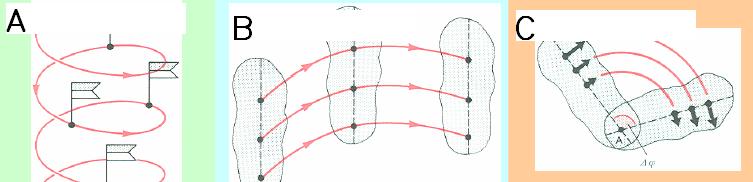 Dinamica Dei Corpi Rigidi 1 - Quiz