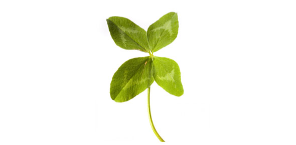 Good Luck Quizzes & Trivia