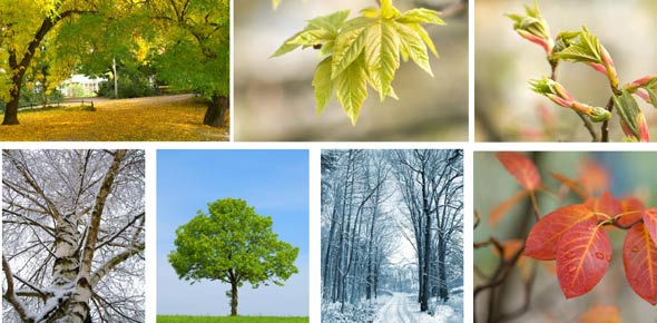 Survival Skills Quizzes & Trivia