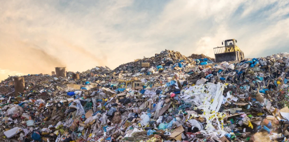 Waste Quizzes & Trivia