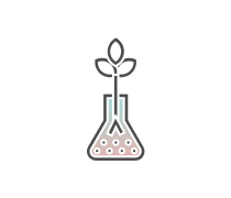 Botany Plant Biology Quizzes & Trivia