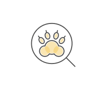 Zoology Animal Biology Quizzes & Trivia