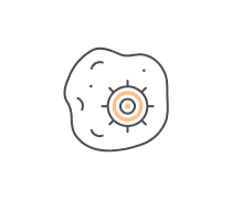 Developmental Biology Quizzes & Trivia