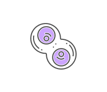 Cell Division Quizzes & Trivia