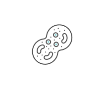 Cell Cycle Quizzes & Trivia