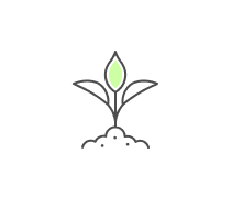 Origin Of Life Quizzes & Trivia