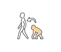 Human Evolution Quizzes & Trivia