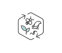 Biodiversity Quizzes & Trivia