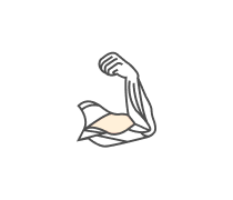 Muscular System Quizzes & Trivia