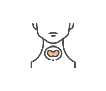 Endocrine System Quizzes & Trivia