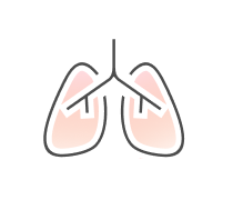 Respiratory System Quizzes & Trivia