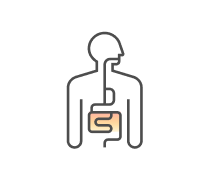 Digestive System Quizzes & Trivia