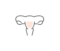 Reproductive System Quizzes & Trivia