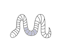 Annelida Quizzes & Trivia