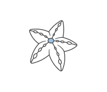 Echinodermata Quizzes & Trivia