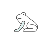 Amphibians Quizzes & Trivia