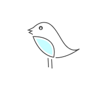 Birds Quizzes & Trivia