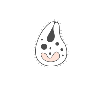 Parasitology Quizzes & Trivia