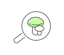 Mycology Quizzes & Trivia