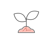 Plant Morphology Quizzes & Trivia