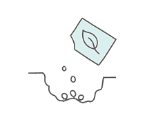 Plant Reproduction Quizzes & Trivia