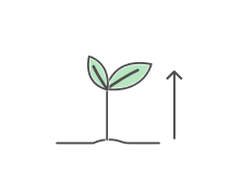 Plant Growth Quizzes & Trivia