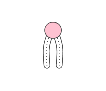 Biochemical Lipids Quizzes & Trivia