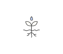 Irrigation And Soils Quizzes & Trivia