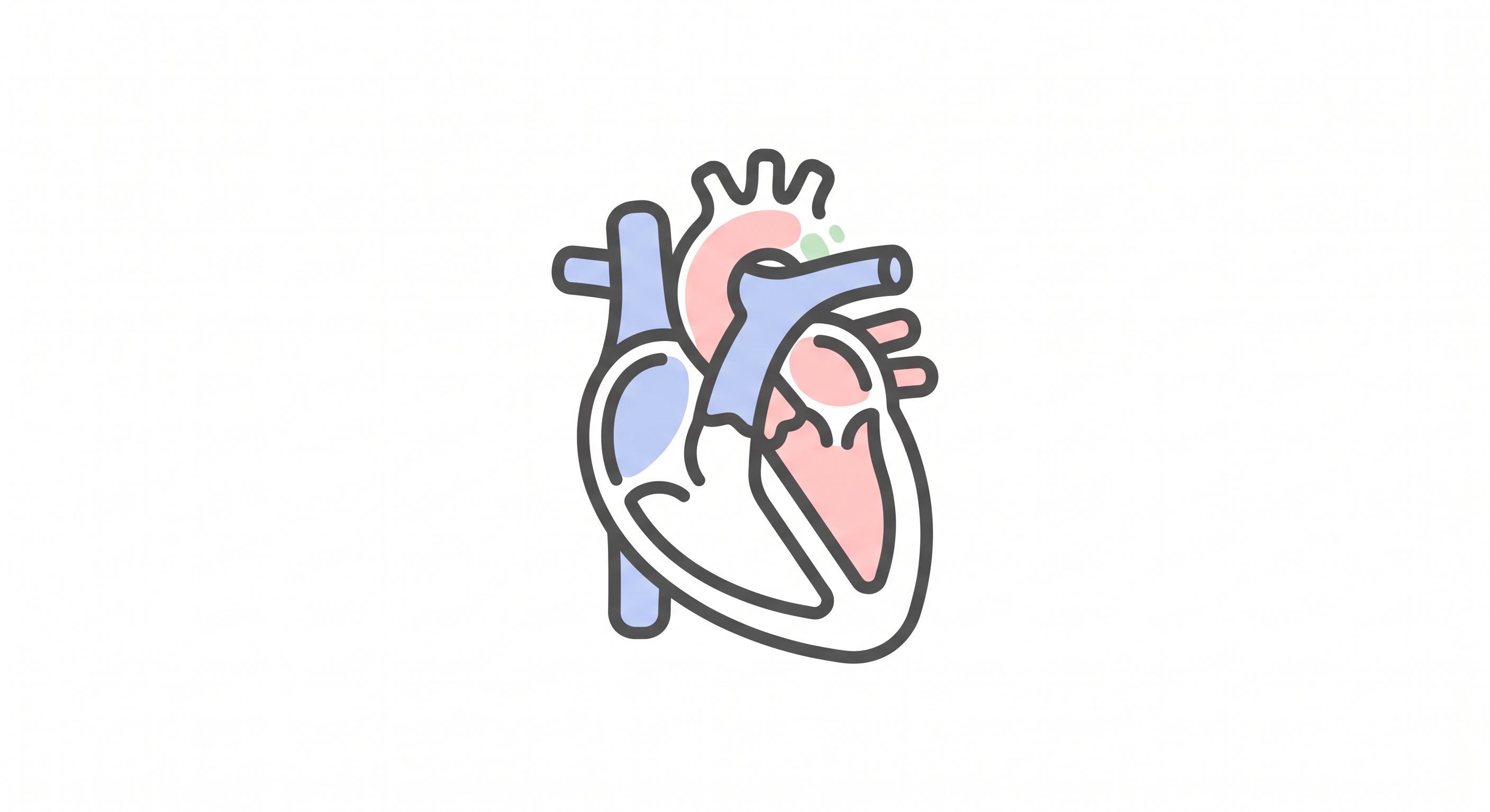 Heart Anatomy Quizzes & Trivia