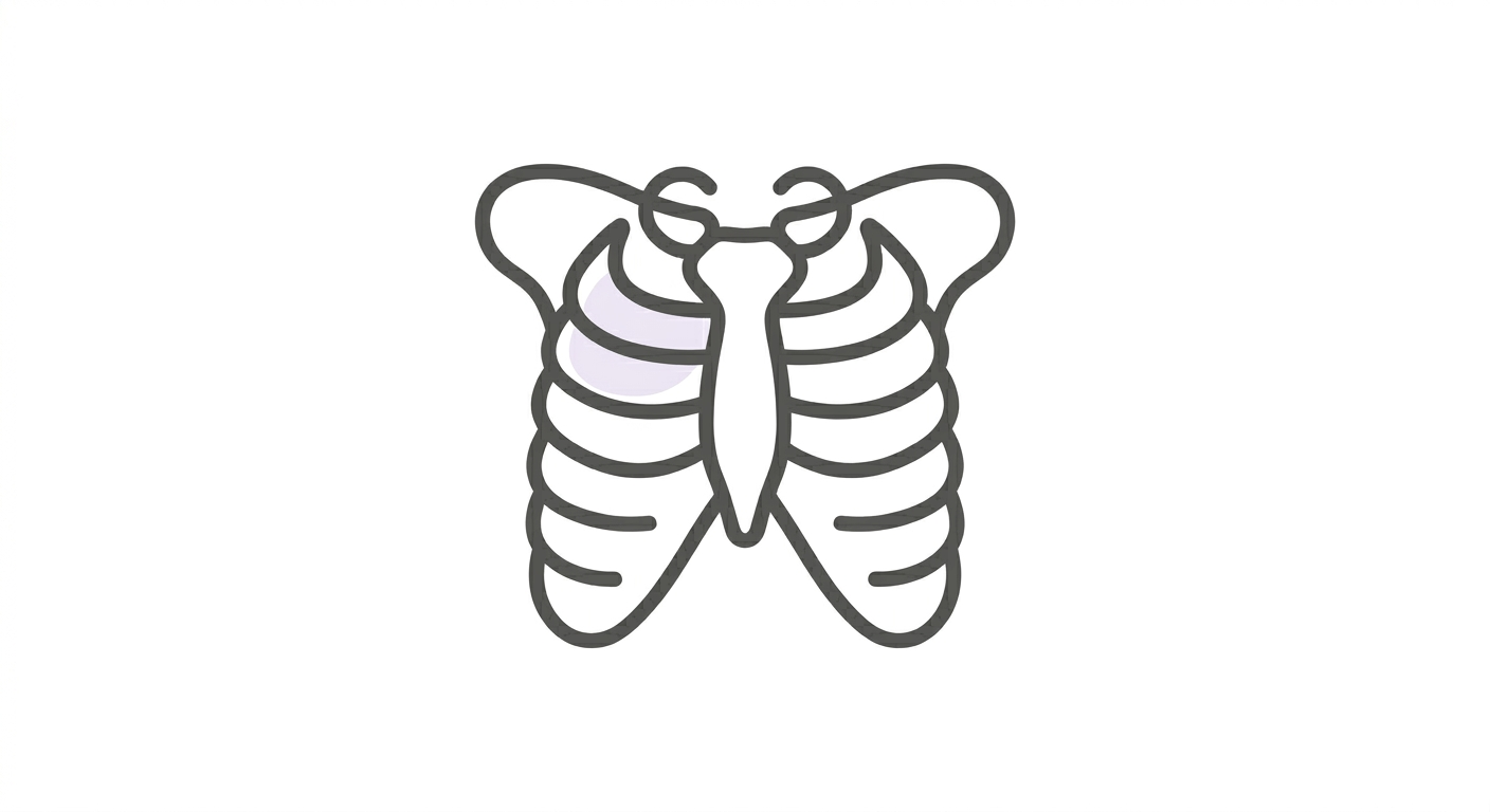 Thorax Quizzes & Trivia