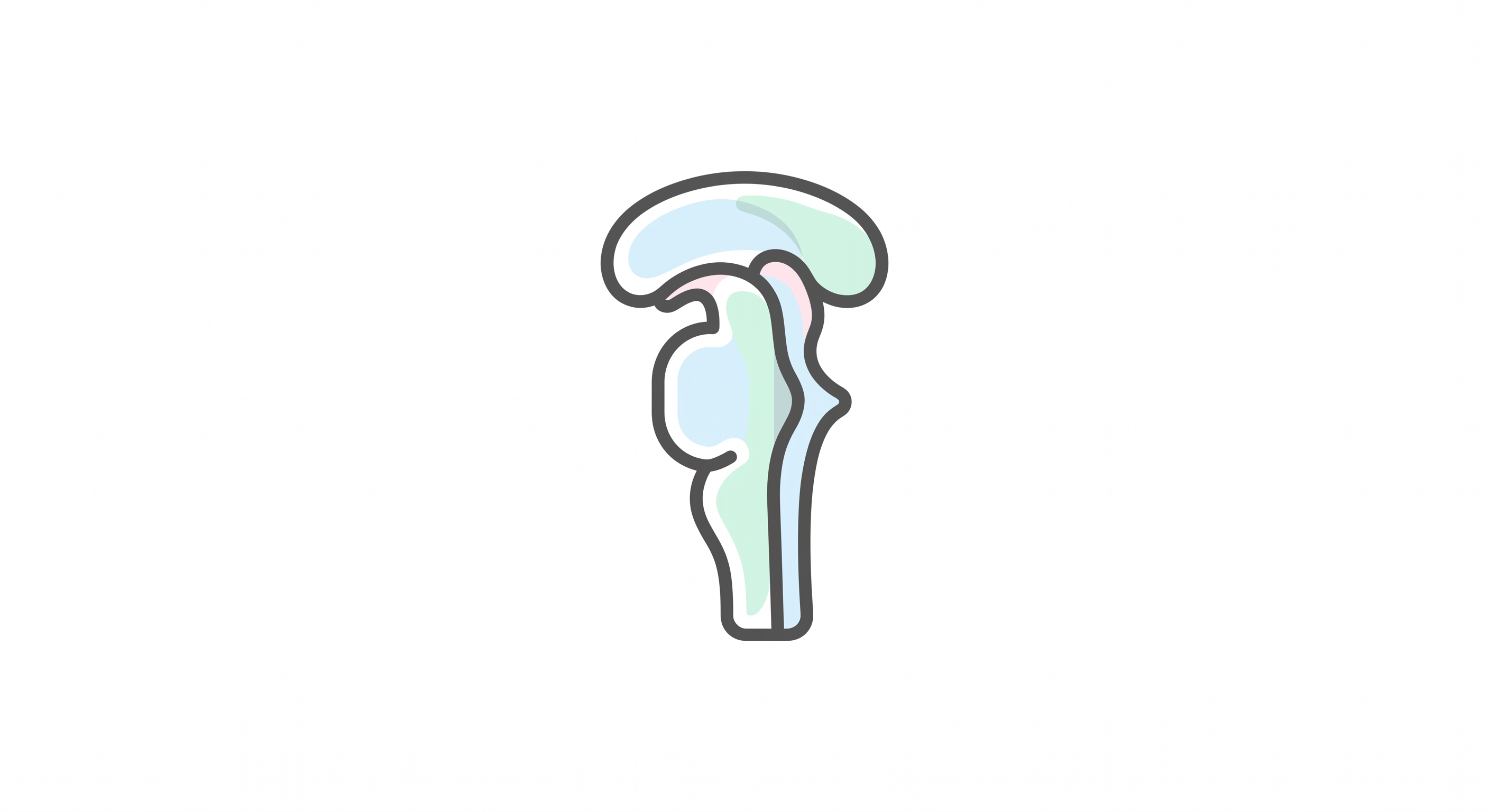 Brainstem Quizzes & Trivia