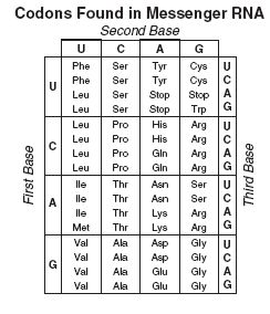 proprofs