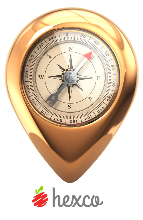 SAMPLER Geo eMentor - Advanced