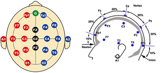 EEG Technician Training Final Exam