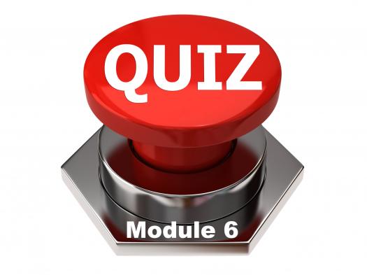 EEG Module 6 Quiz