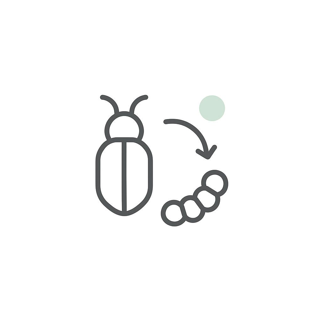 Incomplete Metamorphosis Quiz Insights - Quiz & Trivia
